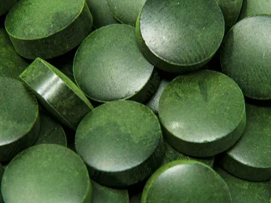 Chlorella vulgaris