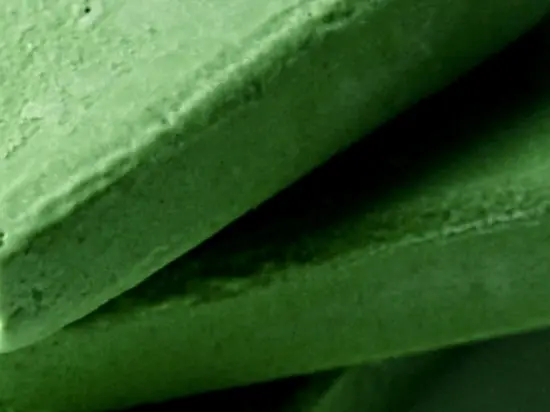 Nannochloropsis sp.