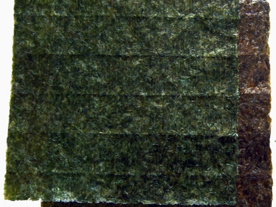 Porphyra umbilicalis (Nori) Sheets