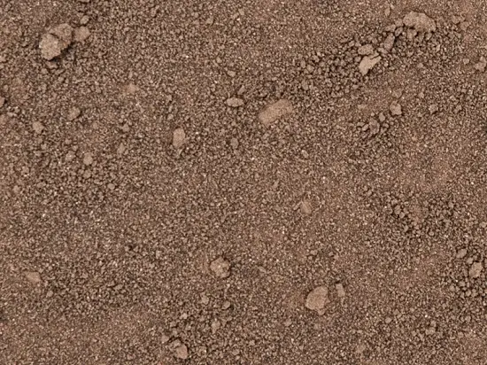 Phaeodactylum tricornutum – Mikroalgen Pulver (Kieselalge)