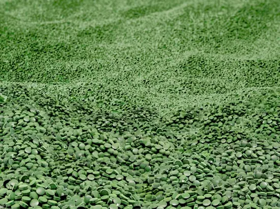 Chlorella vulgaris – Nahrungsergänzungsmittel aus Mikroalgen