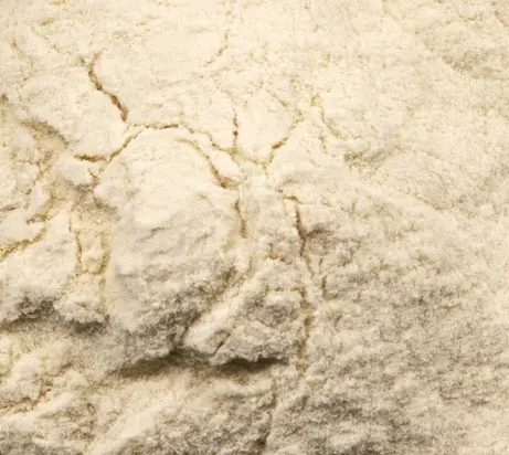 Fucoidan Powder