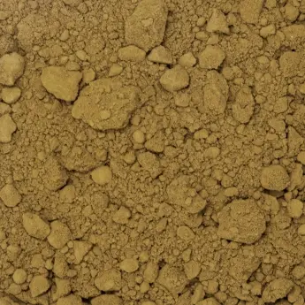 Isochrysis galbana – Microalgae Powder - image