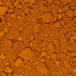Dunaliella salina Powder – Natural Beta-Carotene Microalgae - image