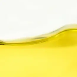 Schizochytrium sp. DHA Omega-3 Fatty Acid – Oleoresin - image