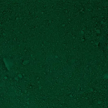Scenedesmus sp. – Microalgae Powder (Green Algae) - image