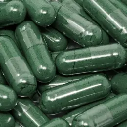 Spirulina platensis - image