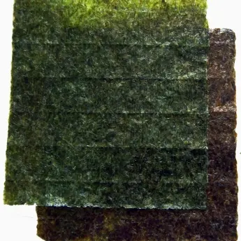 Porphyra umbilicalis (Nori) Sheets - image