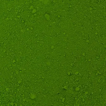 Chlorella vulgaris - image