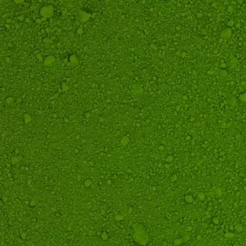 Chlorella sorokiniana - image