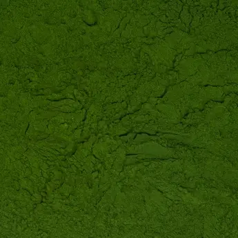 Tetraselmis chuii – Mikroalgen-Pulver - image