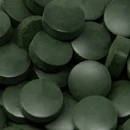 Spirulina platensis - image